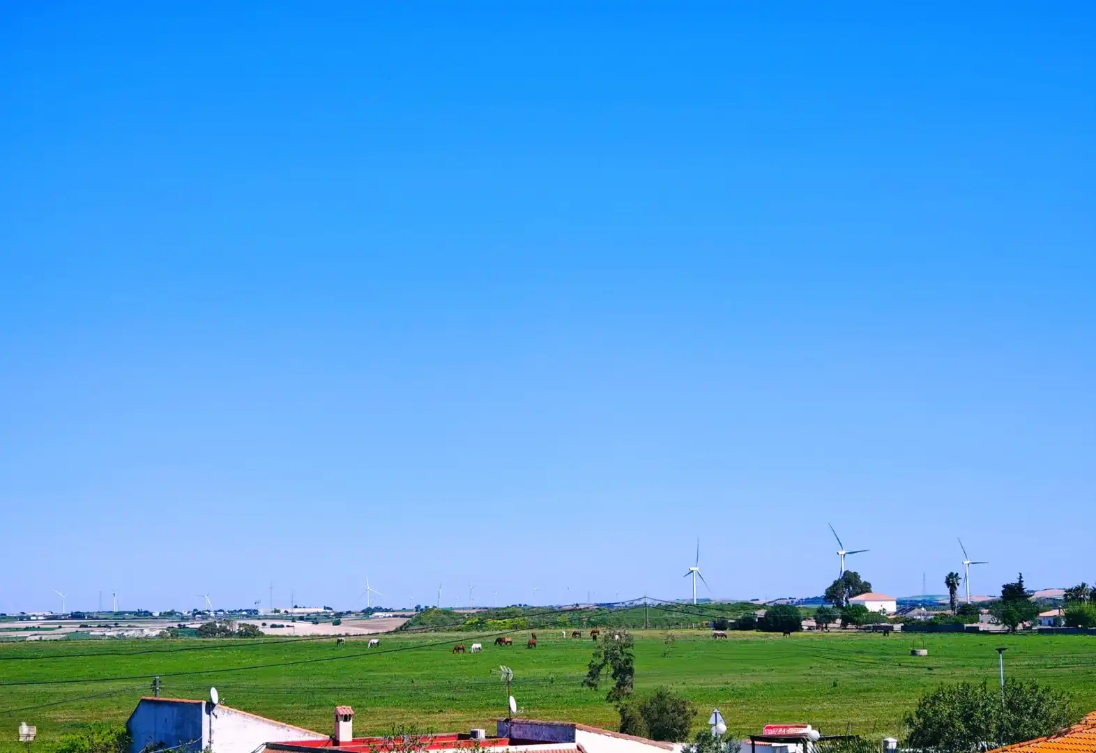 Xalet amb terrassa en venda a Pelagatos - Pago del Humo, imagen 51