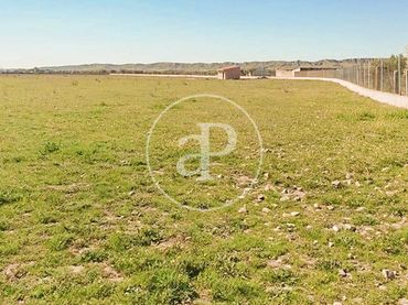 Residential land for sale in Valdetorres de Jarama