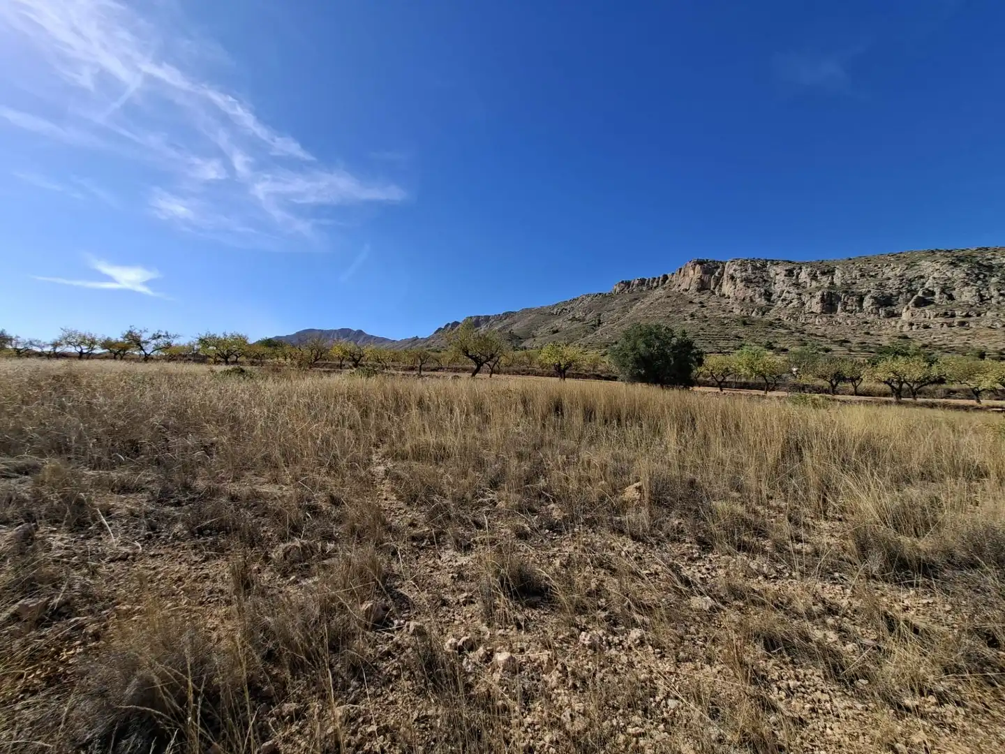 Terreny residencial en venda a La Romana, imagen 3