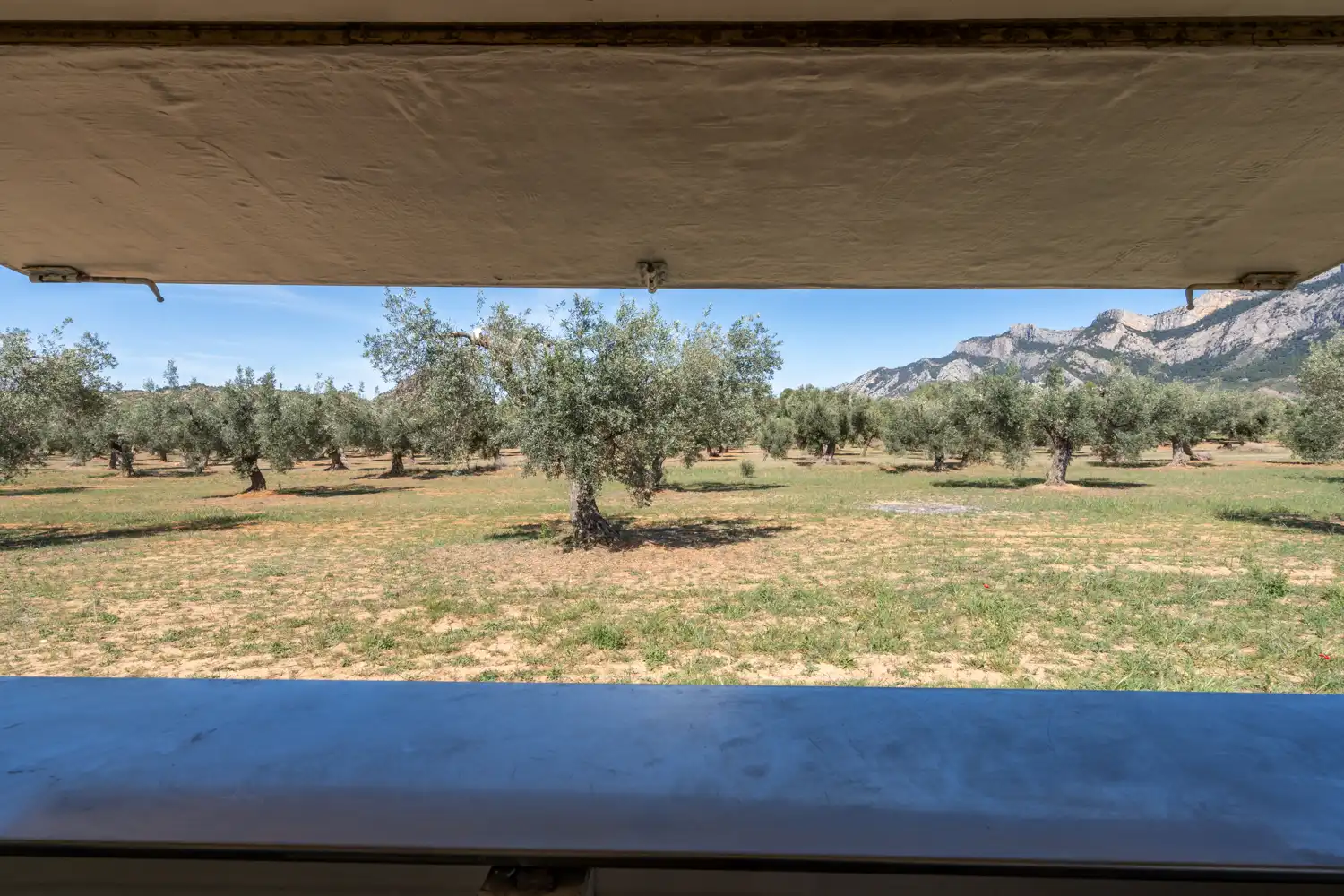 Rural land for sale in Raval dels Àngels 18, imagen 11