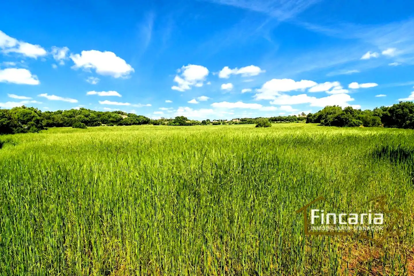 Lands and plots for sale in Ma-5120