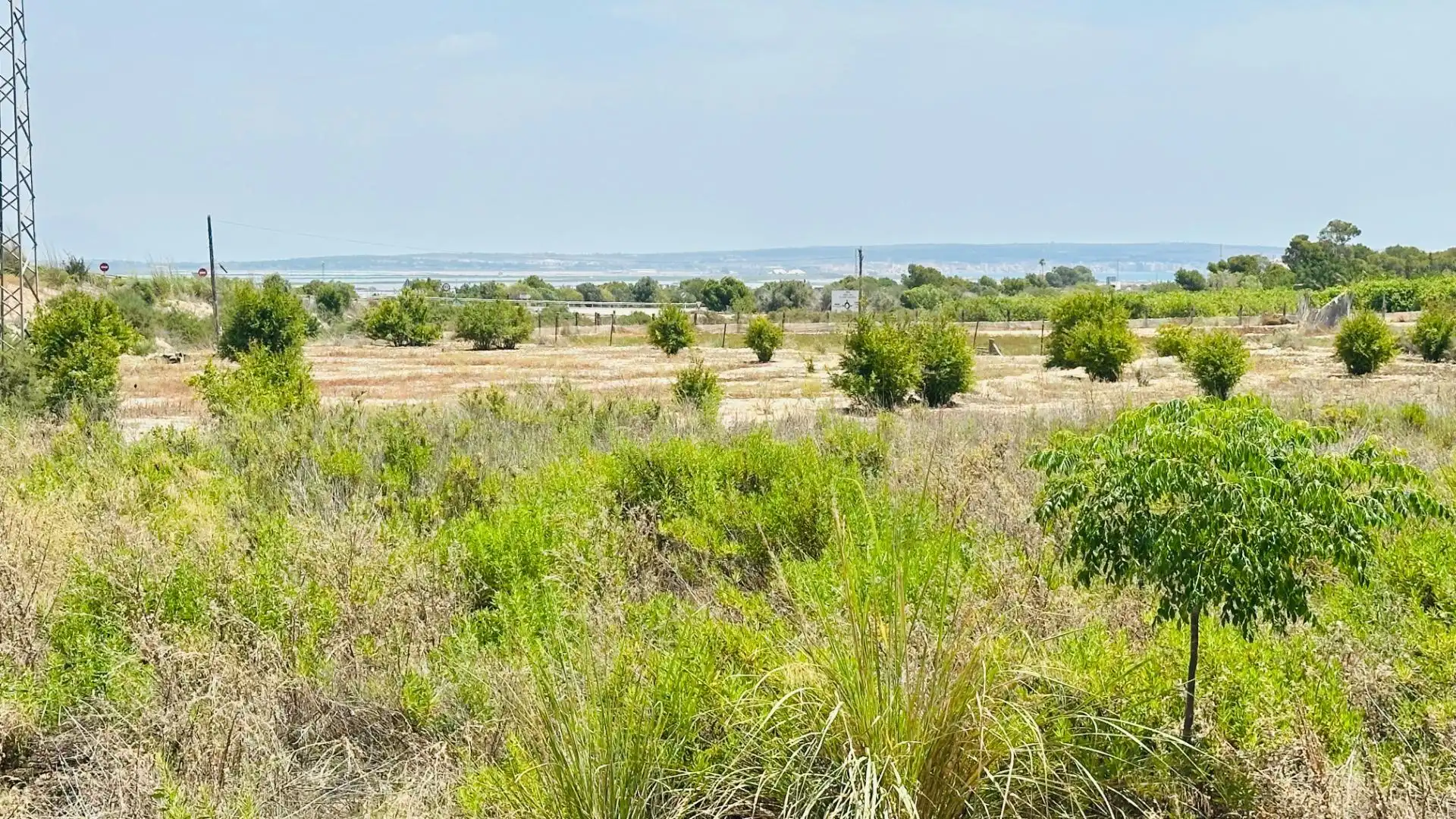 Terrain rustique à vendre à La Marina, imagen 23