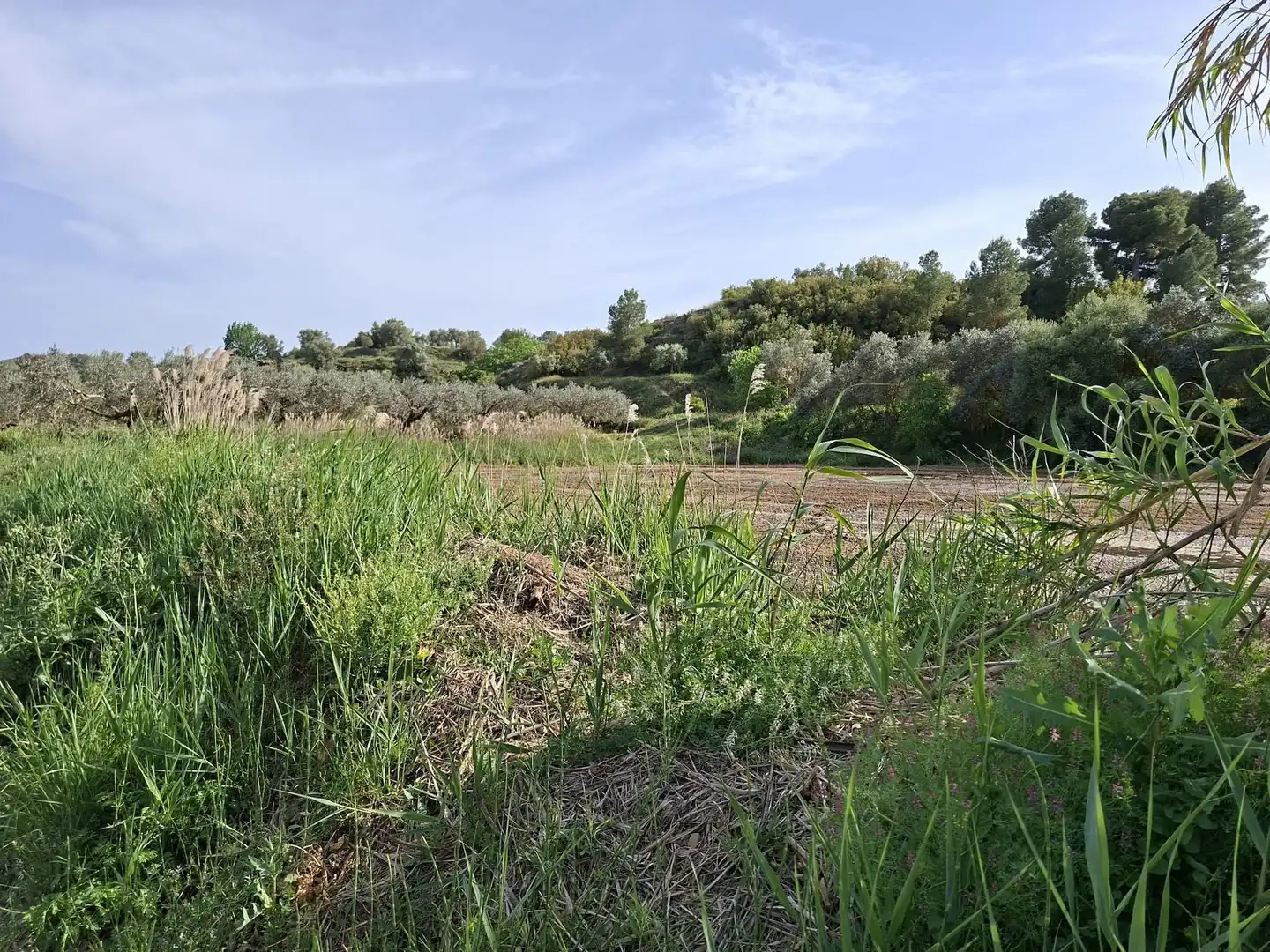 Finca rústica en venda en Caspe