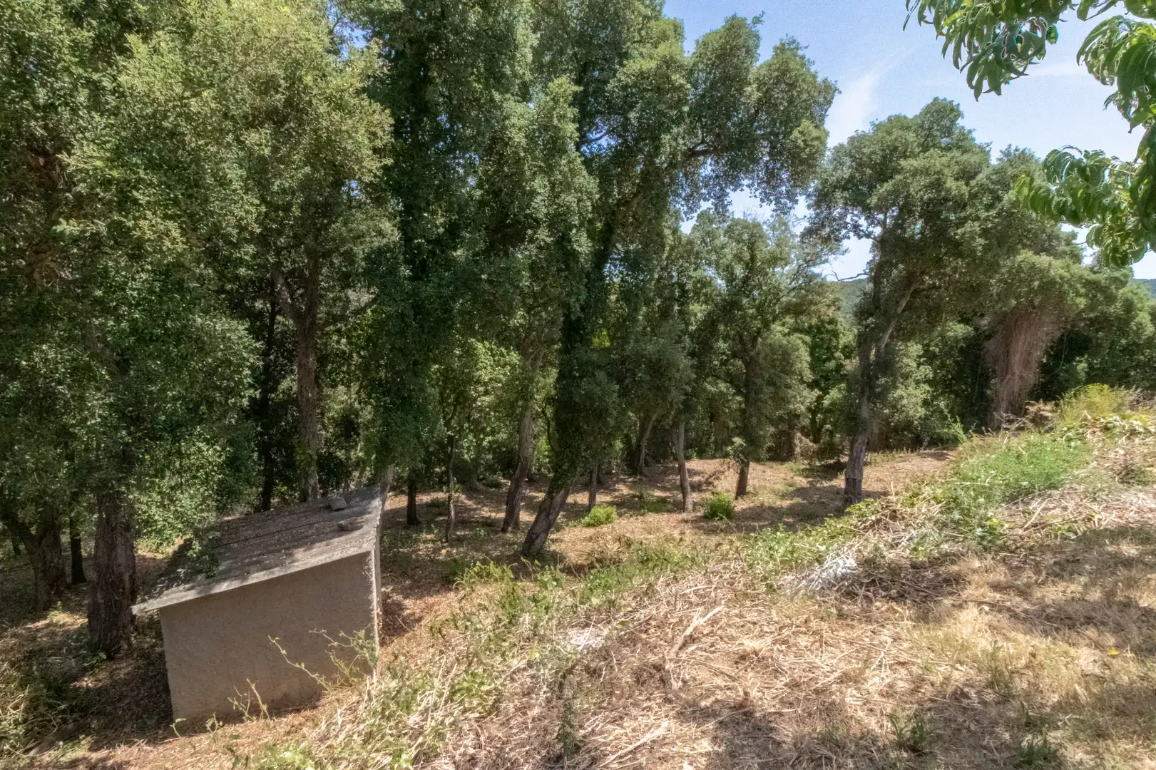 Xalet amb terrassa en venda a Sant Cebrià de Vallalta, imagen 28