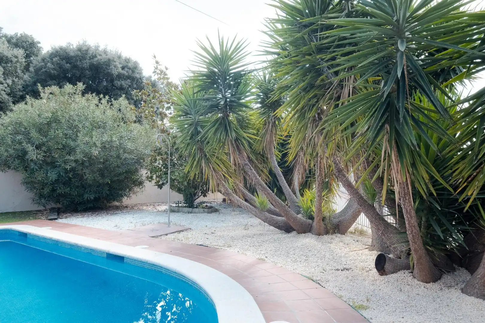 Piscina de Casa o chalet en venta en Caldes de Montbui con Aire acondicionado, Calefacción y Jardín privado