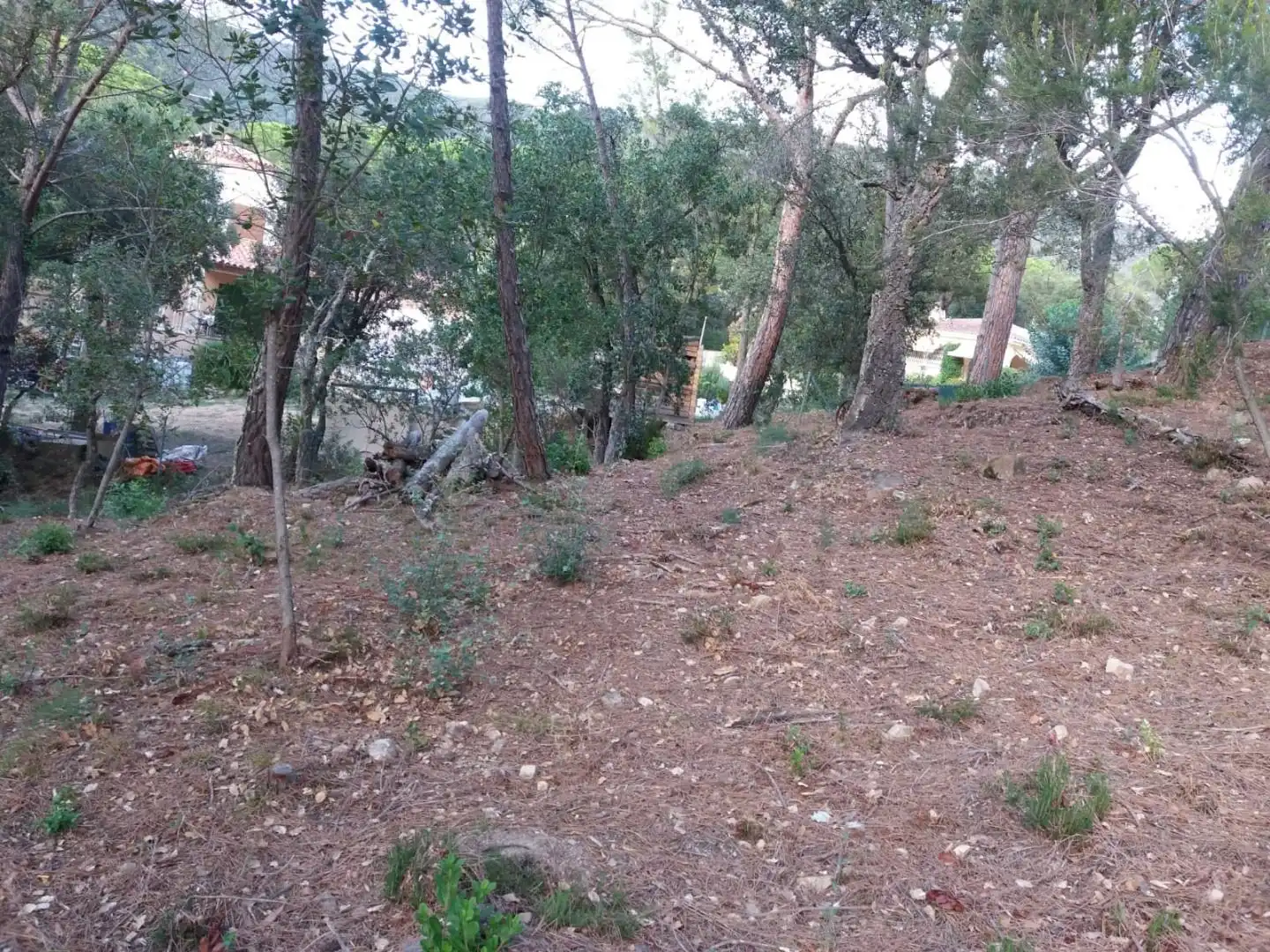 Terreno residencial en venta en Avinguda del Bell-lloc, imagen 3