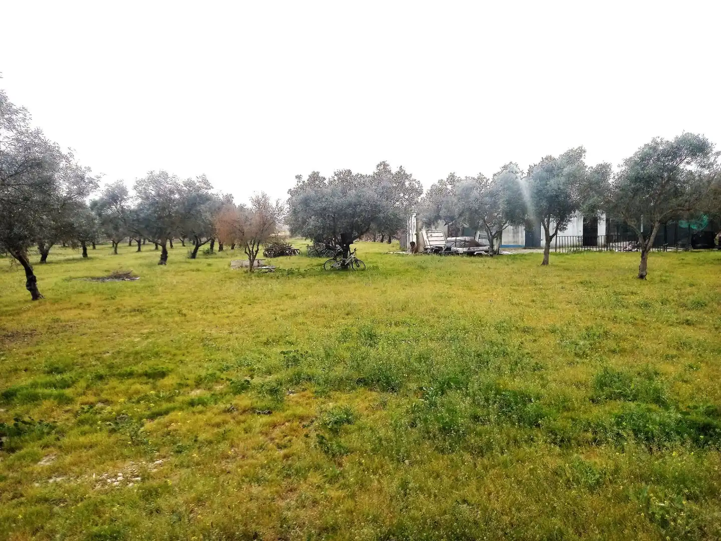 Country homes for sale in Jerez de la Frontera  with Terrace