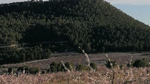 Un paraíso productivo con infinitas posibilidades tierra, tradición y rentabilidad en un entorno privilegiado, immagine 4