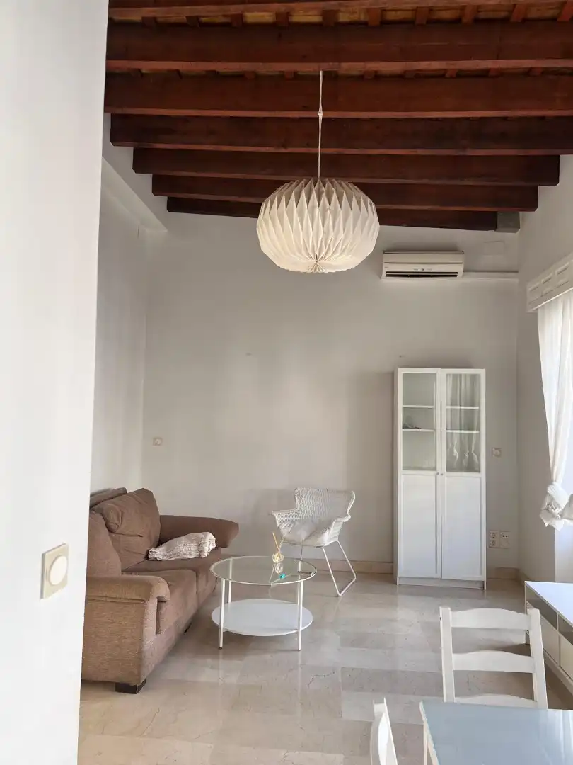 Sala d'estar de Casa o xalet de lloguer en Sevilla amb Aire condicionat, Terrassa i Traster