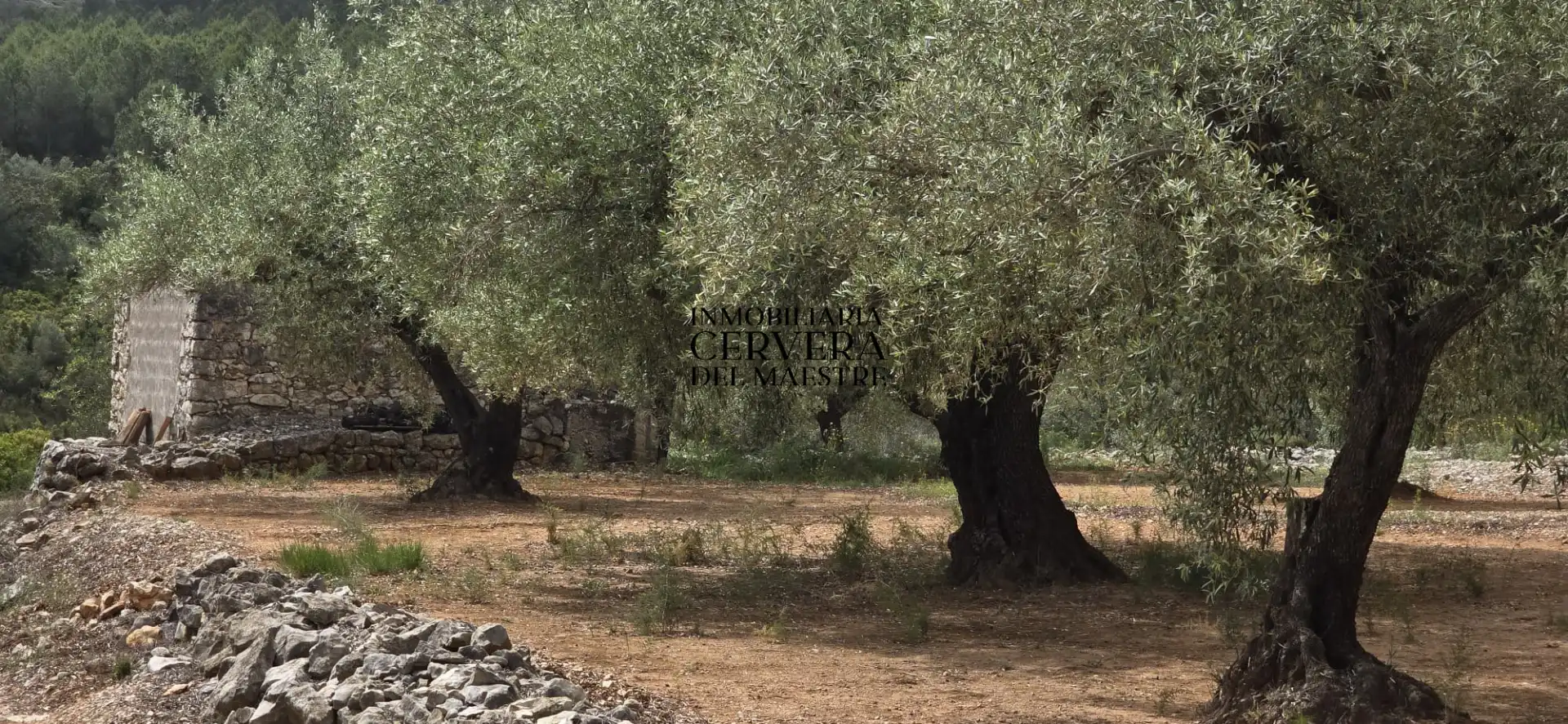 Terreno rustico in vendita a Cervera del Maestre, imagen 14