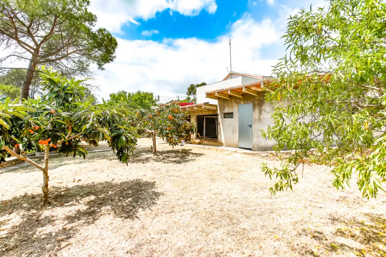 Vista exterior de Finca rústica en venta en Avinyonet del Penedès