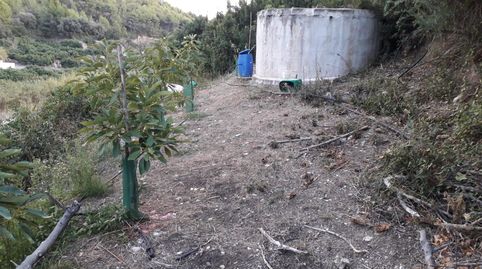 Foto 2 de Casa o chalet en venta en Frigiliana, Málaga