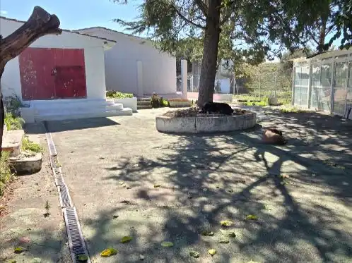 Landhaus mit Pool zum Verkauf in camino Arroyo de la Galga SN, imagen 5