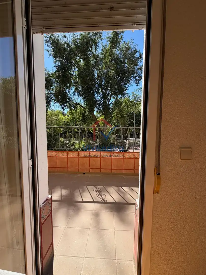 Casa bifamiliare con piscina in affitto a Alfonso X el Sabio, imagen 22