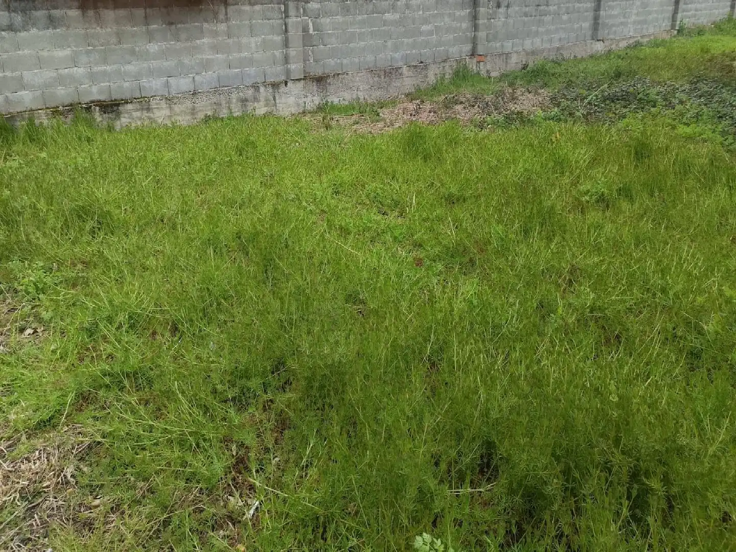 Casa con giardino in vendita a Begonte, imagen 10