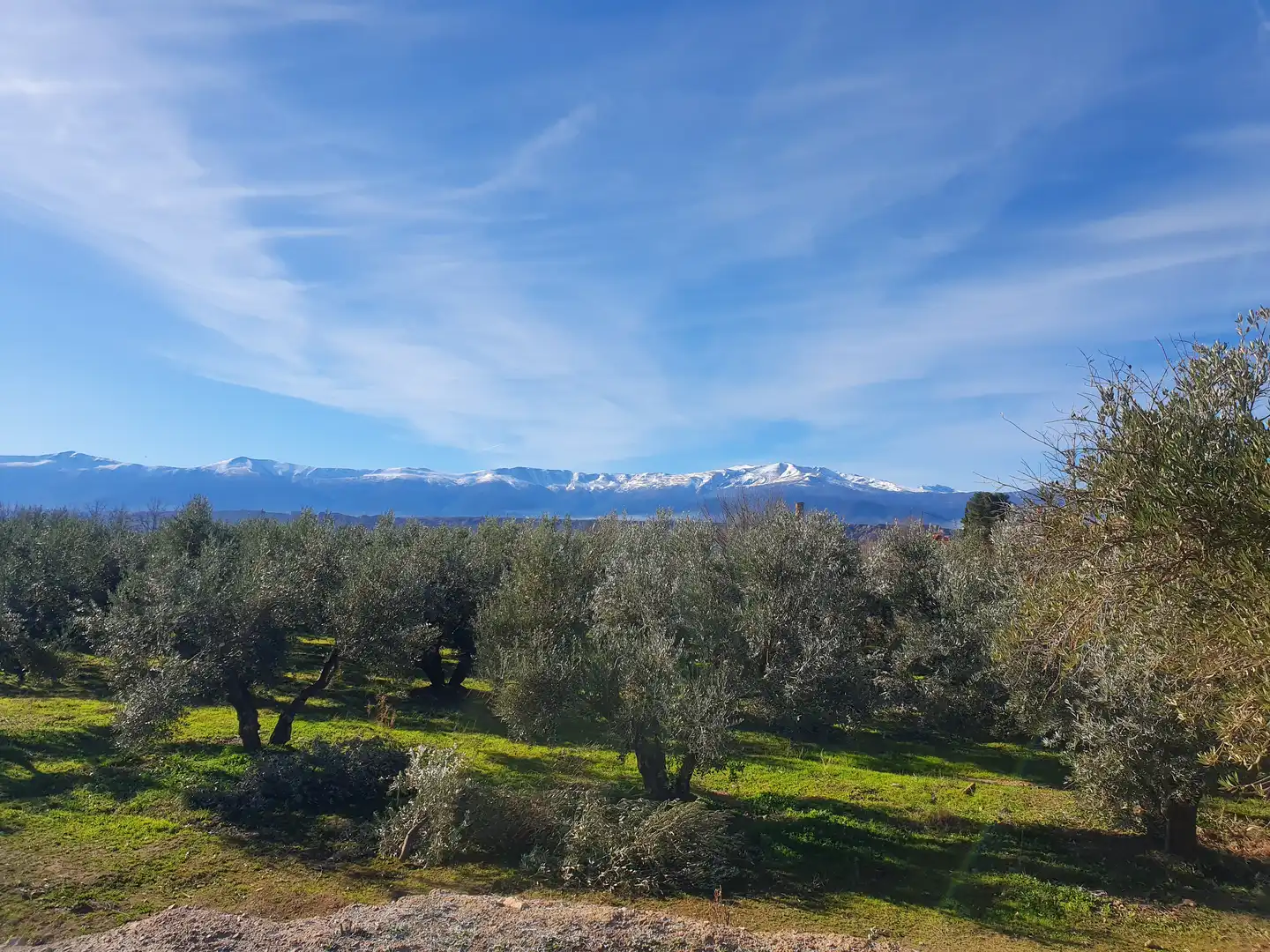 Terreni e lotti in vendita a Guadix, imagen 2