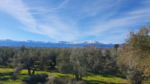 ¡¡ESPECTACULAR FINCA PARA RECREO Y/ AGRICOLA, immagine 2