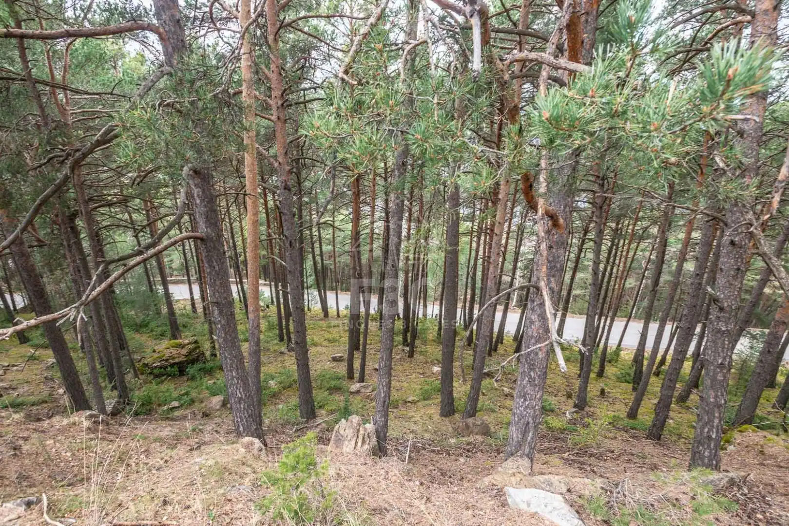 Terreno en venta en Aubinyà - Juberri