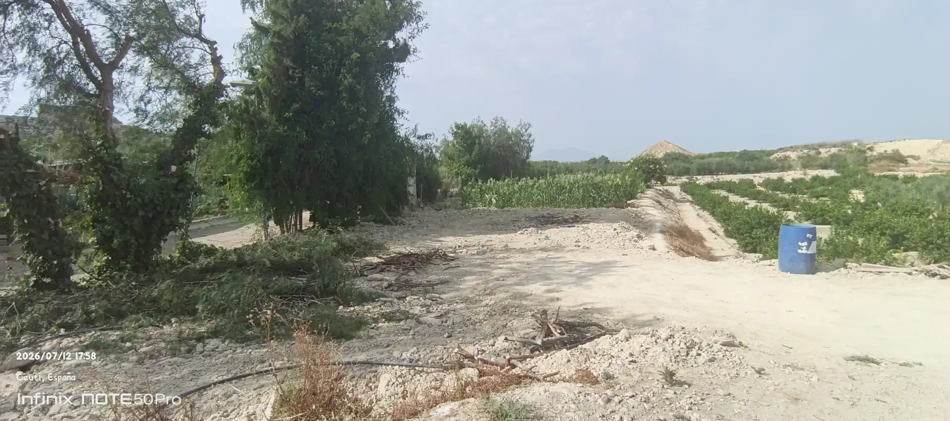 Finca rústica en venda en Cieza