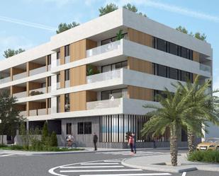 Exterior view of Apartment for sale in Elche / Elx  with Parquet flooring, Terrace and Swimming Pool