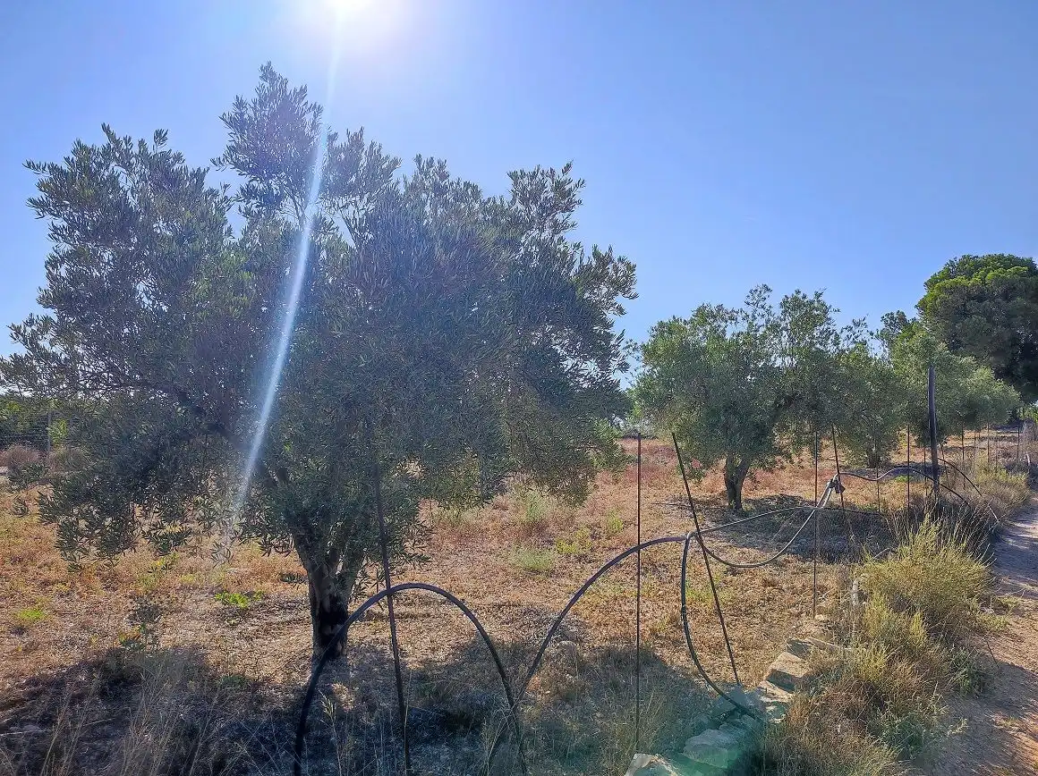 Finca rústica en venda en Tobarra amb Jardí privat, Terrassa i Traster