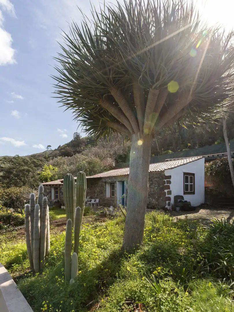 Vista exterior de Finca rústica en venta en Tegueste con Jardín privado, Terraza y Horno