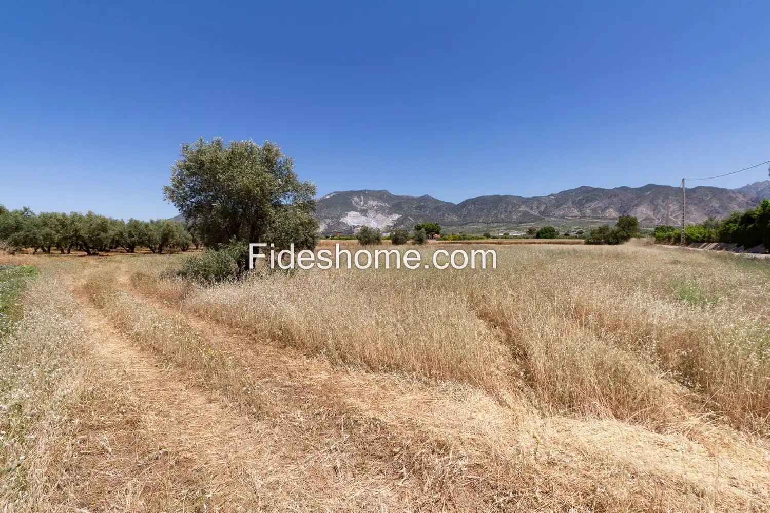 Rural land for sale in XCV6+H86 Cozvijar 0, imagen 2