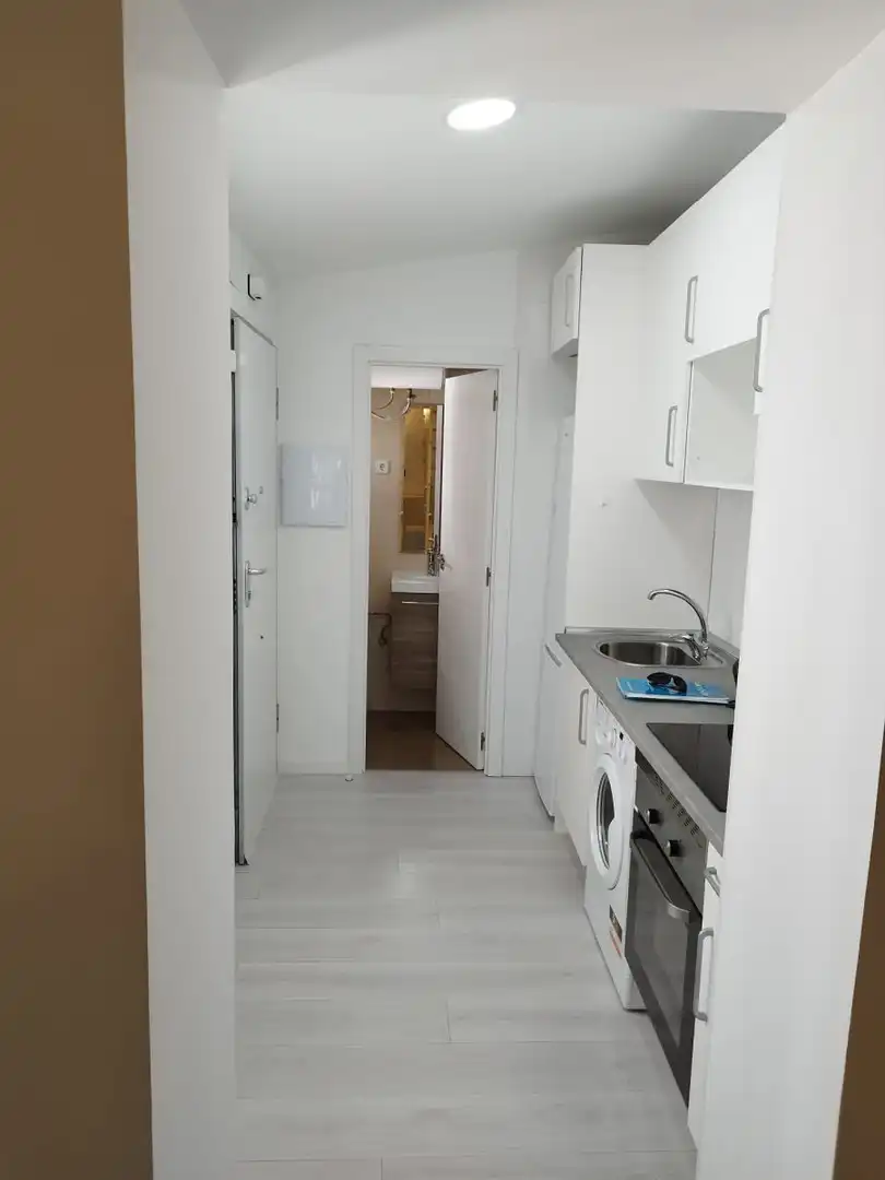 Kitchen of Apartments for rent in Madrid  with Air Conditioner, Heating and Furnished