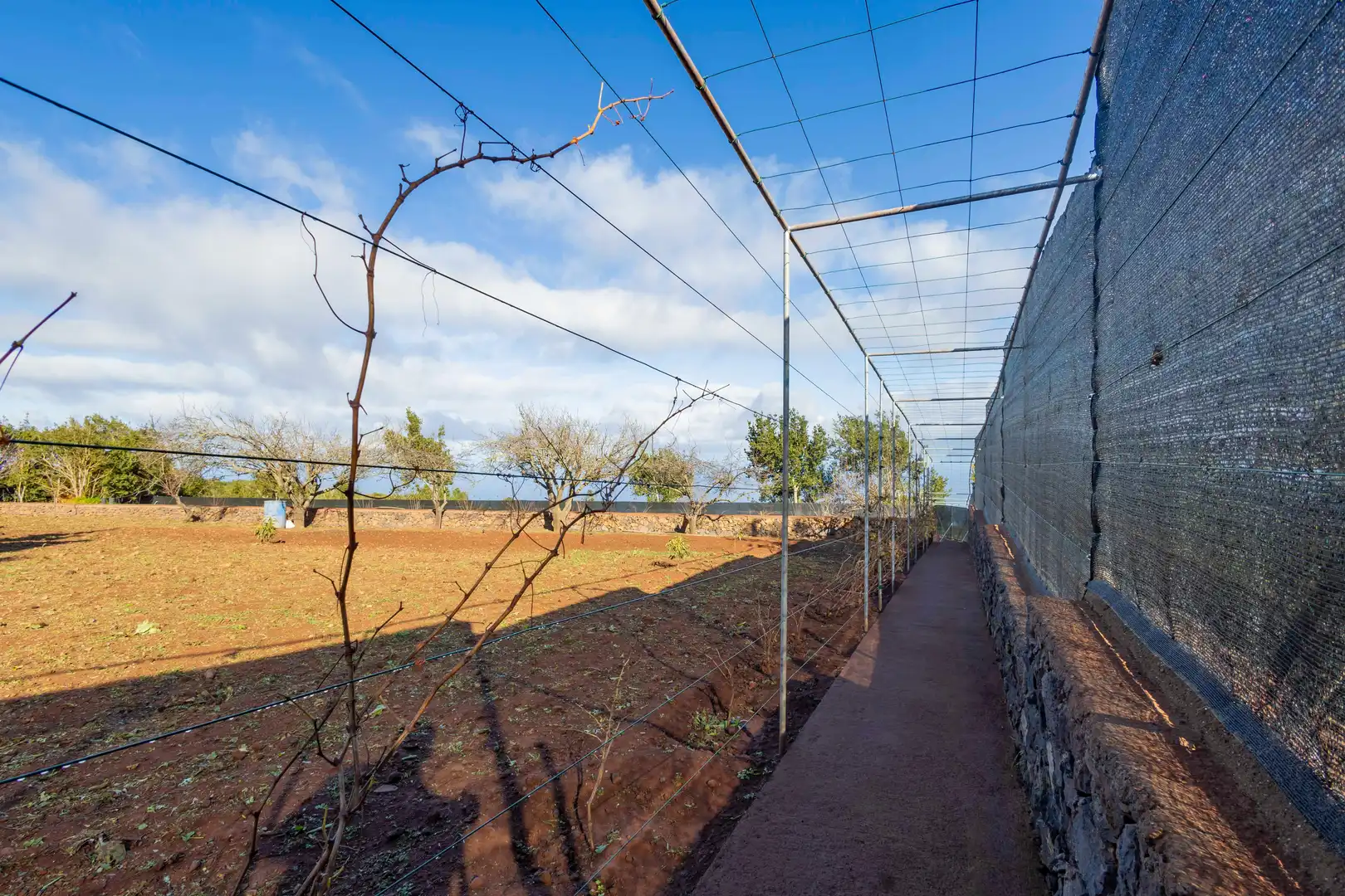 Jardí de Finca rústica en venda en El Tanque amb Calefacció, Jardí privat i Terrassa