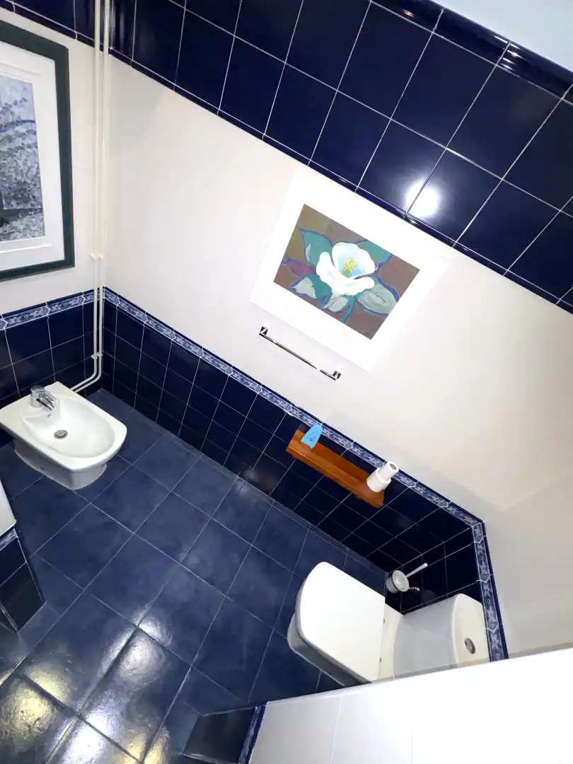 Baño de Nave industrial en venta en Cedillo del Condado con Alarma