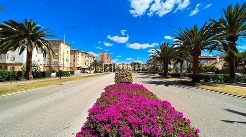 Foto 5 de Pis en venda a Santiago Ramón y Cajal, Barrio de Ciudad Jardín, Málaga