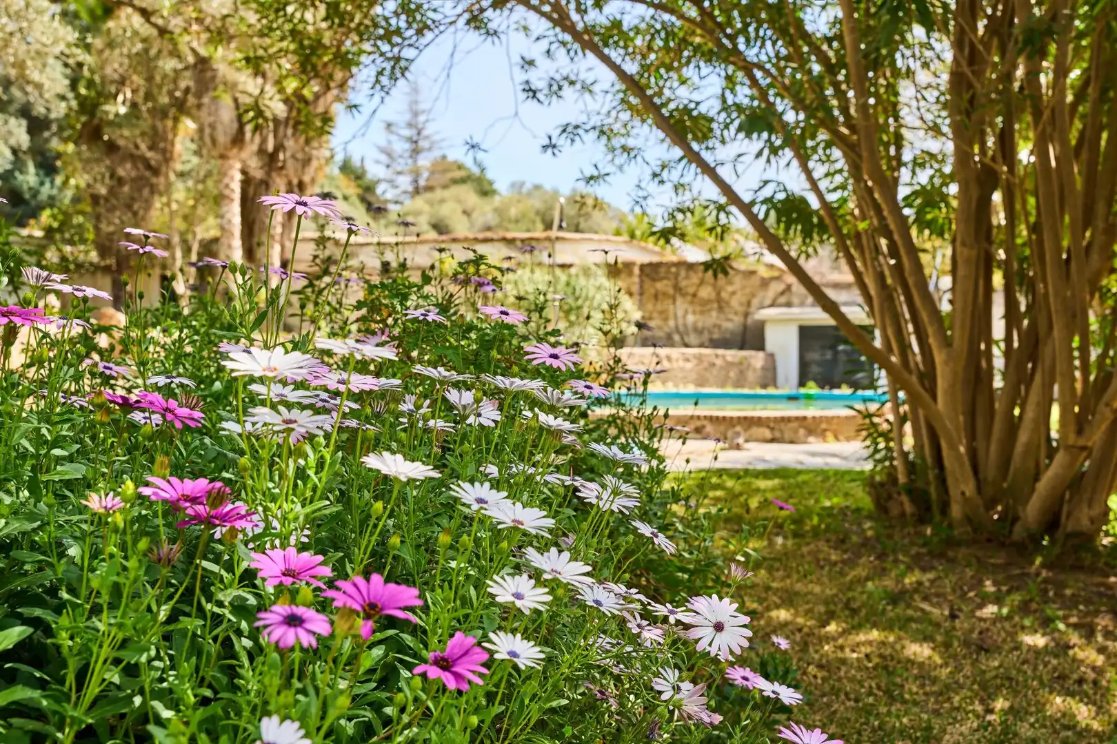 Jardí de Finca rústica en venda en Órgiva amb Jardí privat, Terrassa i Moblat