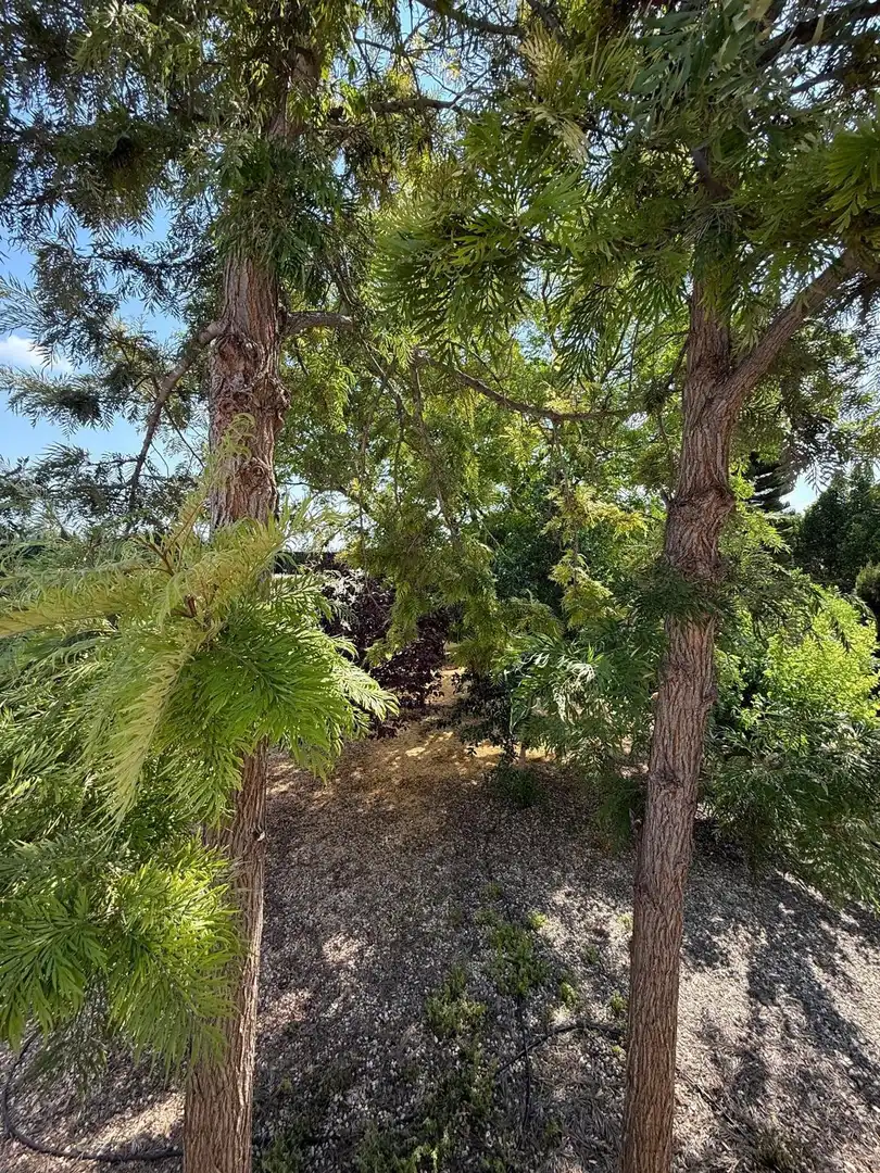 Villa avec piscine à vendre à Albatera, imagen 28