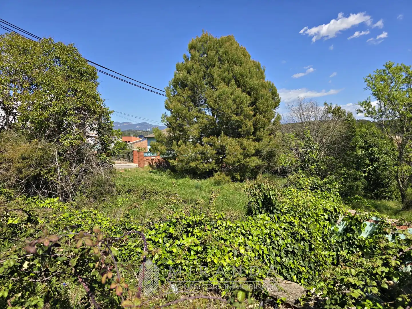 Residential land for sale in Carrer de l'Olivera, imagen 3