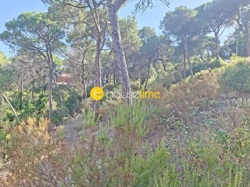Residential land for sale in Vilanova del Vallès, imagen 9