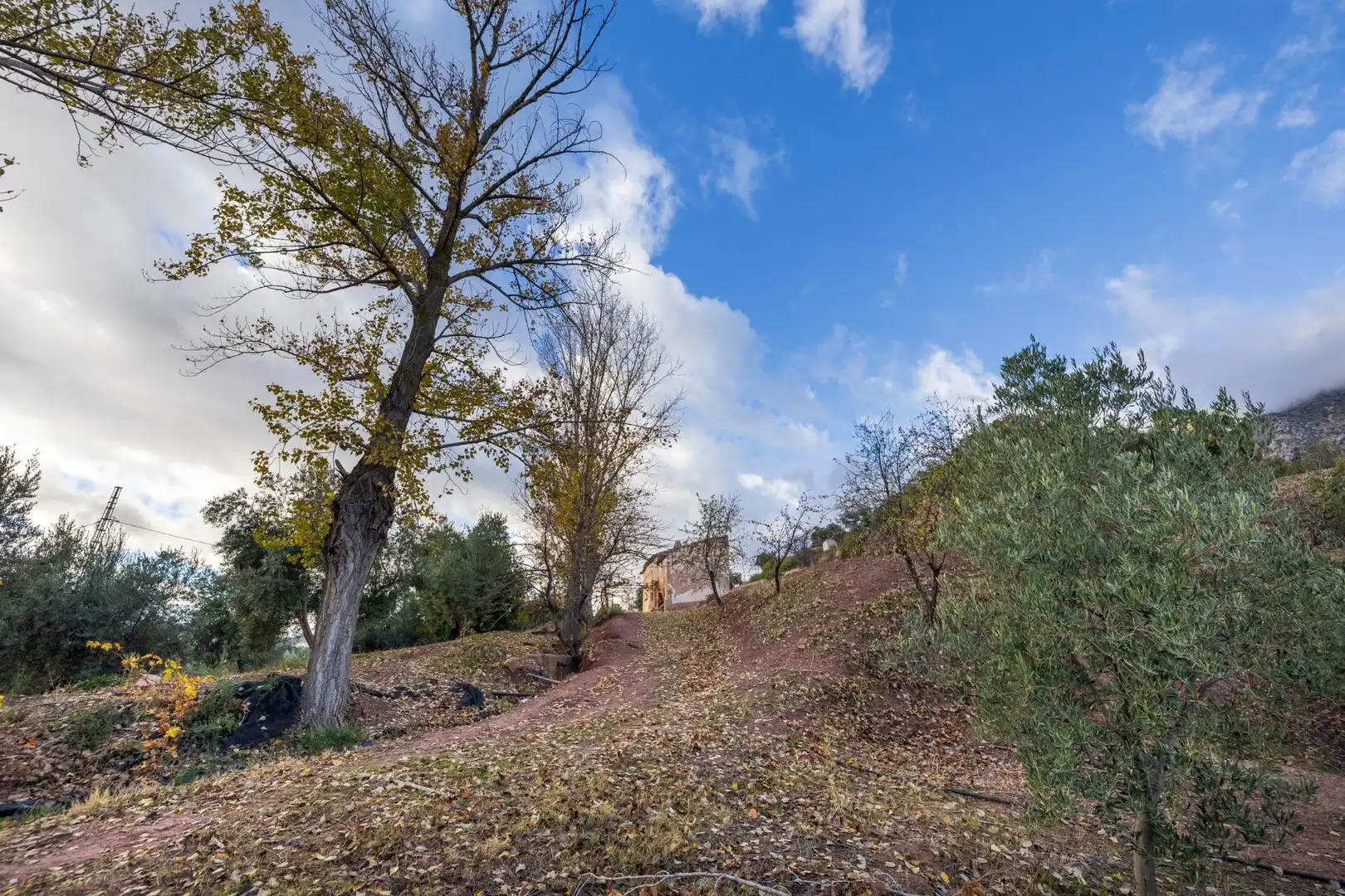 Country house zum Verkauf in Huelma