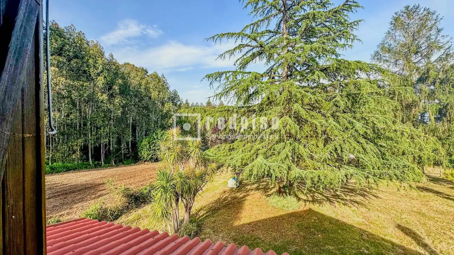 Jardín de Casa o chalet en venta en Abegondo con Parquet, Terraza y Amueblado