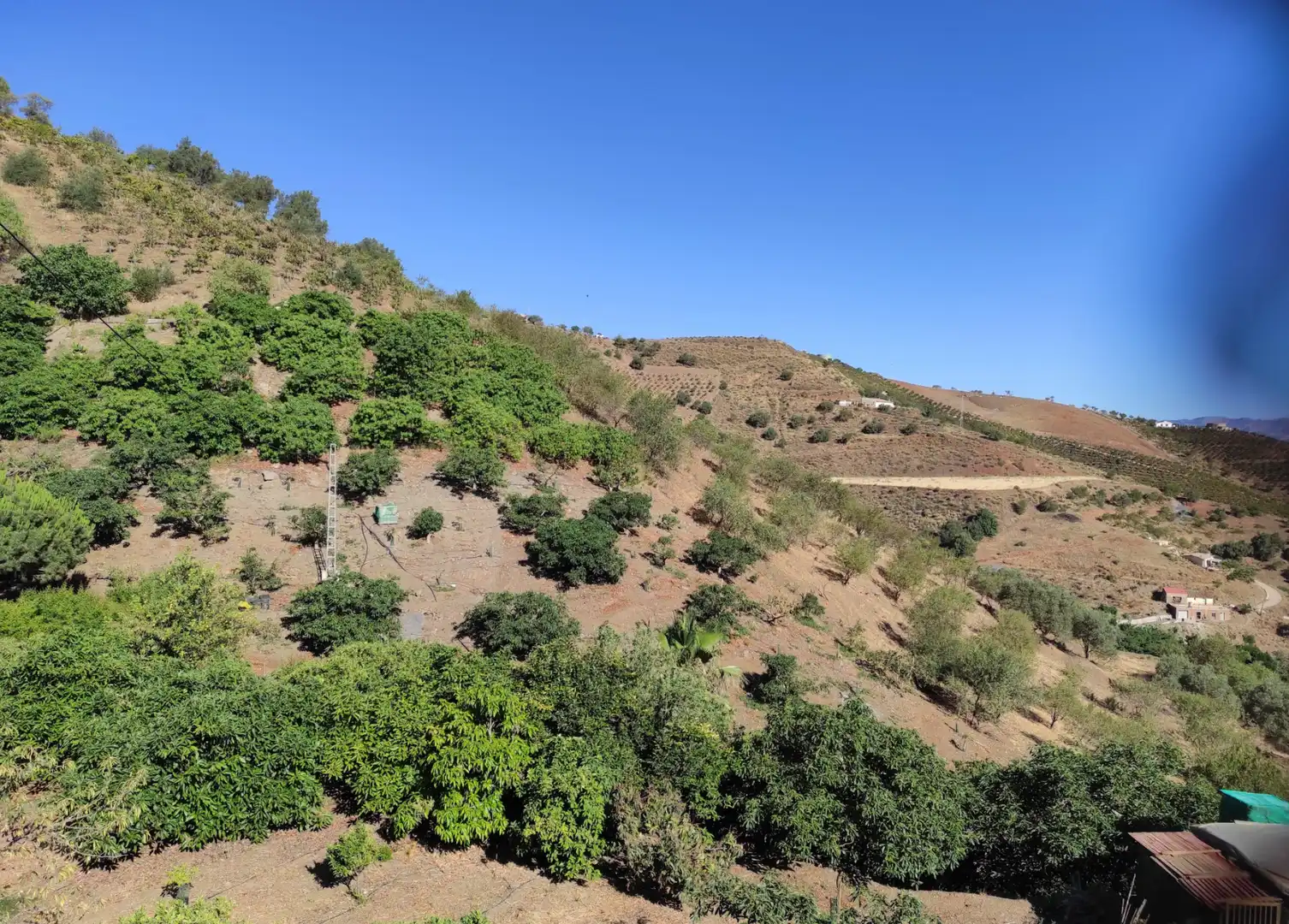 Finca rústica en venda en Canillas de Aceituno amb Jardí privat, Terrassa i Traster