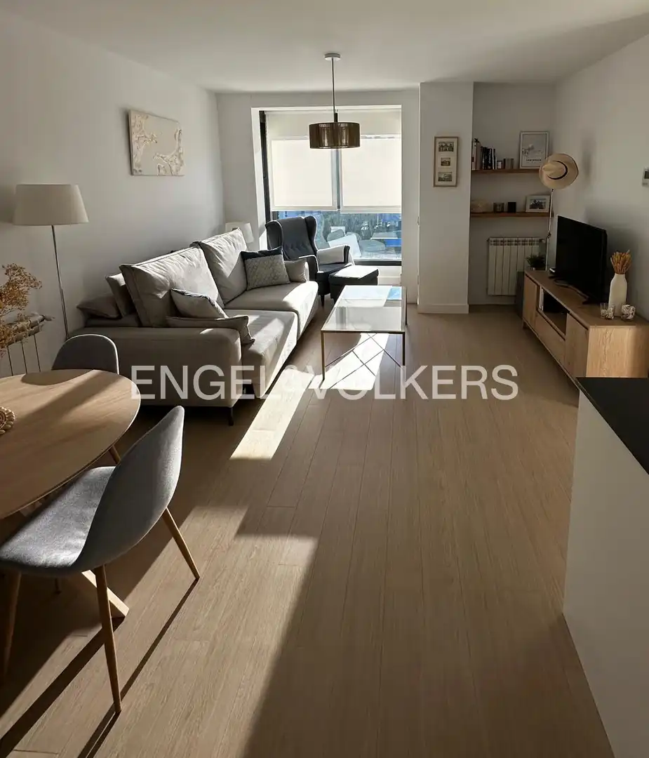 Sala de estar de Piso de alquiler en Madrid con Aire acondicionado, Calefacción y Jardín privado