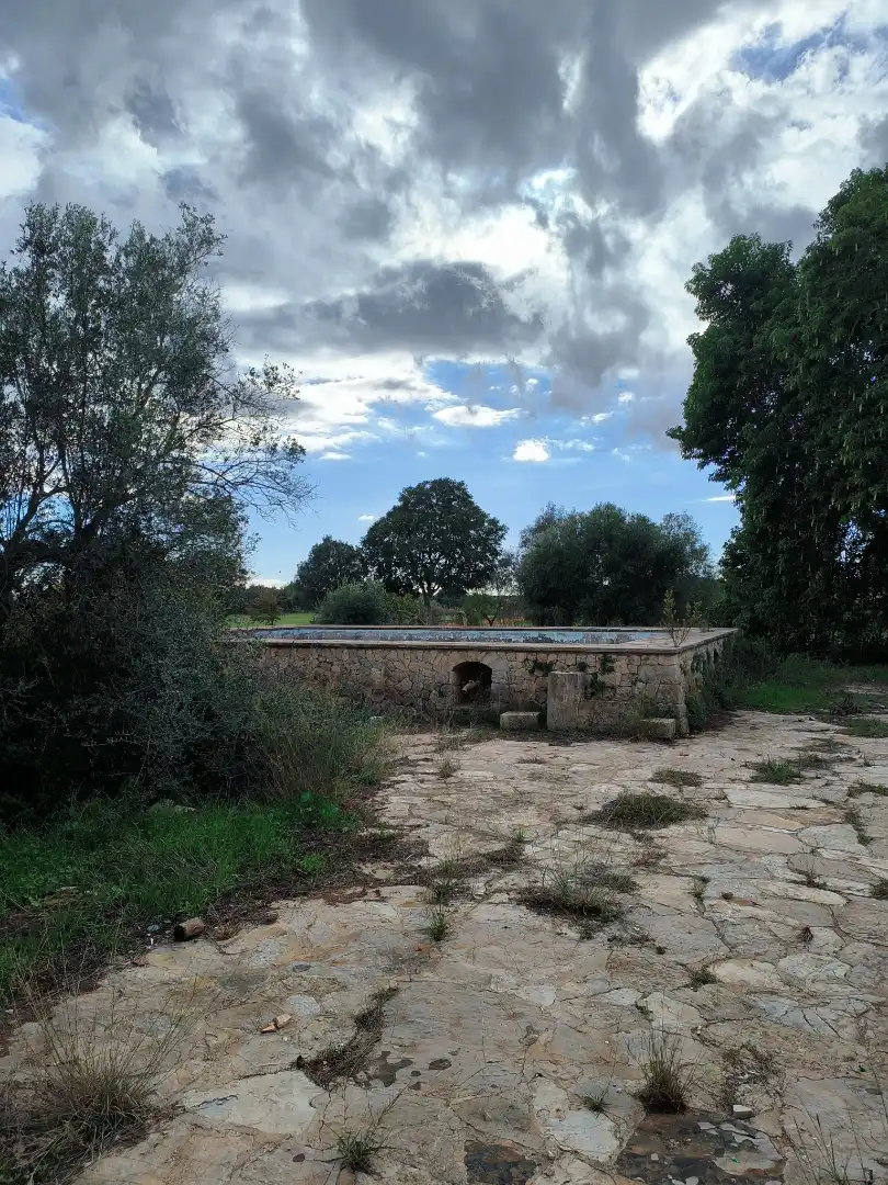 Jardín de Finca rústica en venta en Inca