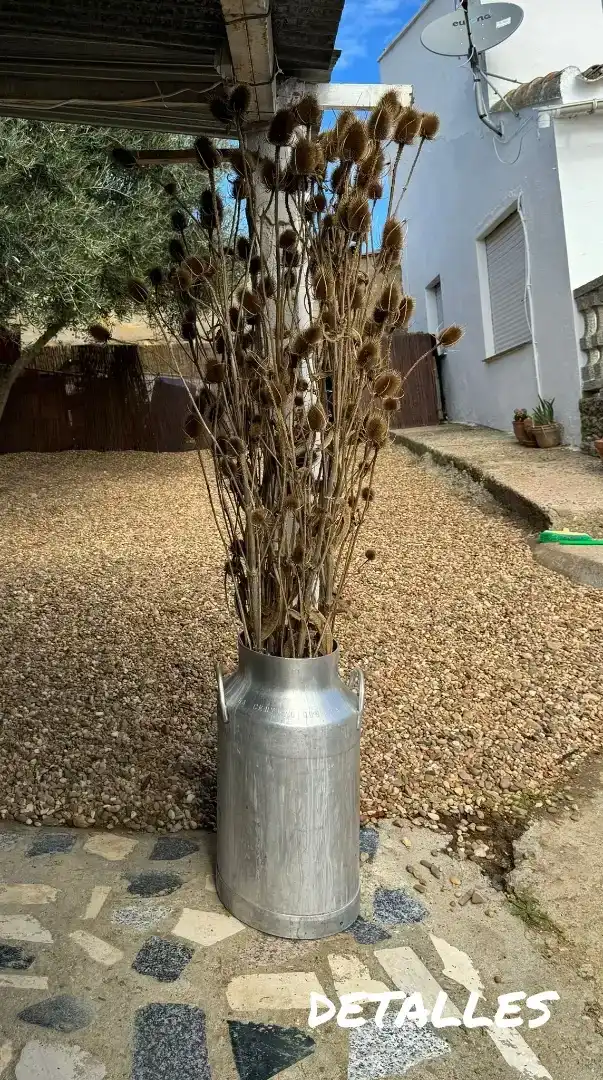 Jardín de Casa o chalet en venta en Sanzoles con Jardín privado, Parquet y Piscina