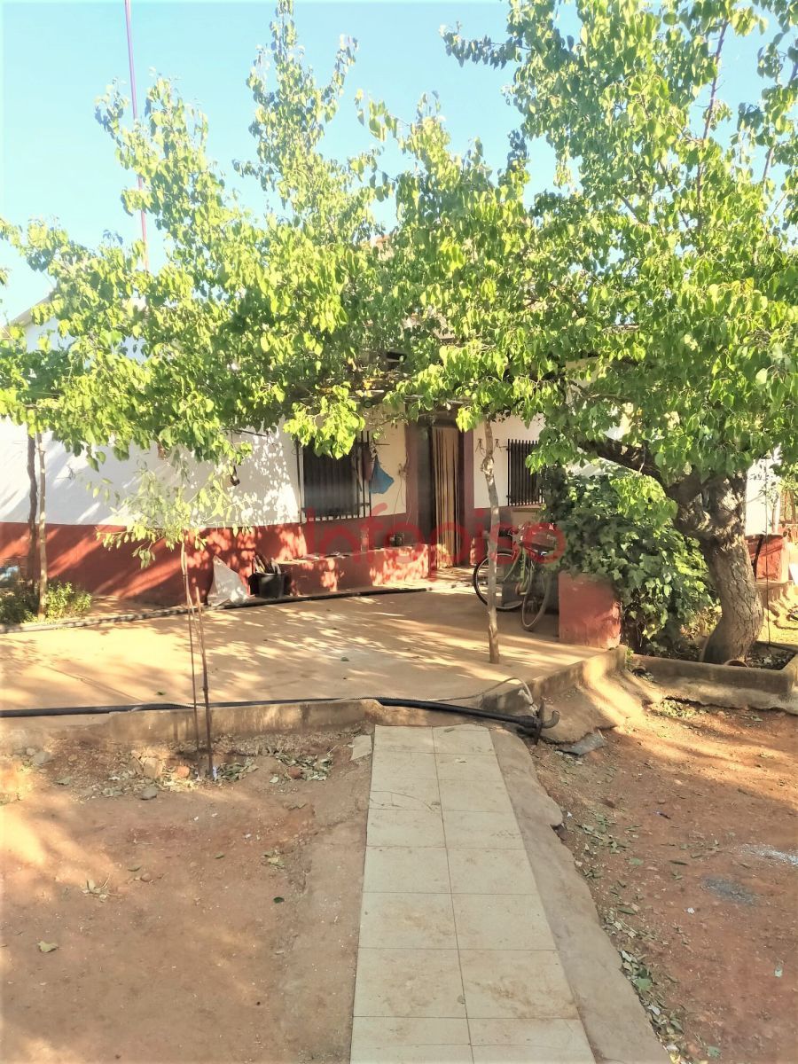 Vista exterior de Finca rústica en venda en Valdepeñas amb Terrassa