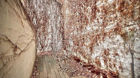 Photo 4 of Premises for rent in Centro, Elda