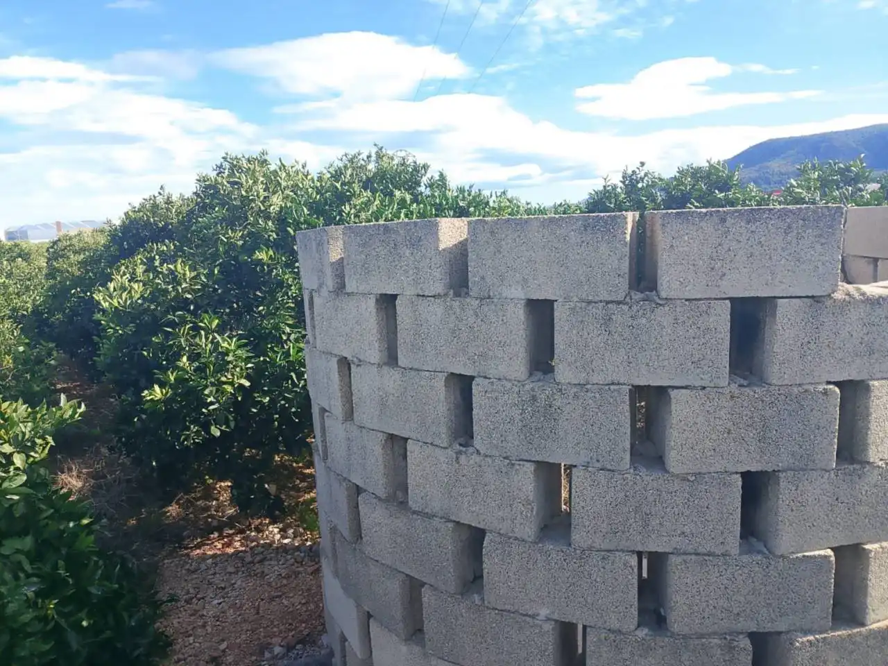 Rustikales Grundstück zum Verkauf in Camino Xeraco a Xeresa, imagen 2