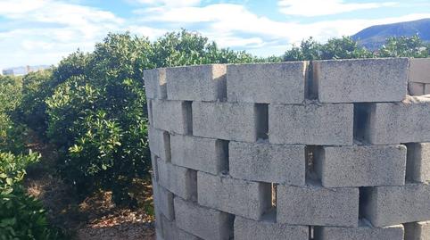 Foto 2 de Terreno en venta en Camino Xeraco a Xeresa, Xeraco, Valencia