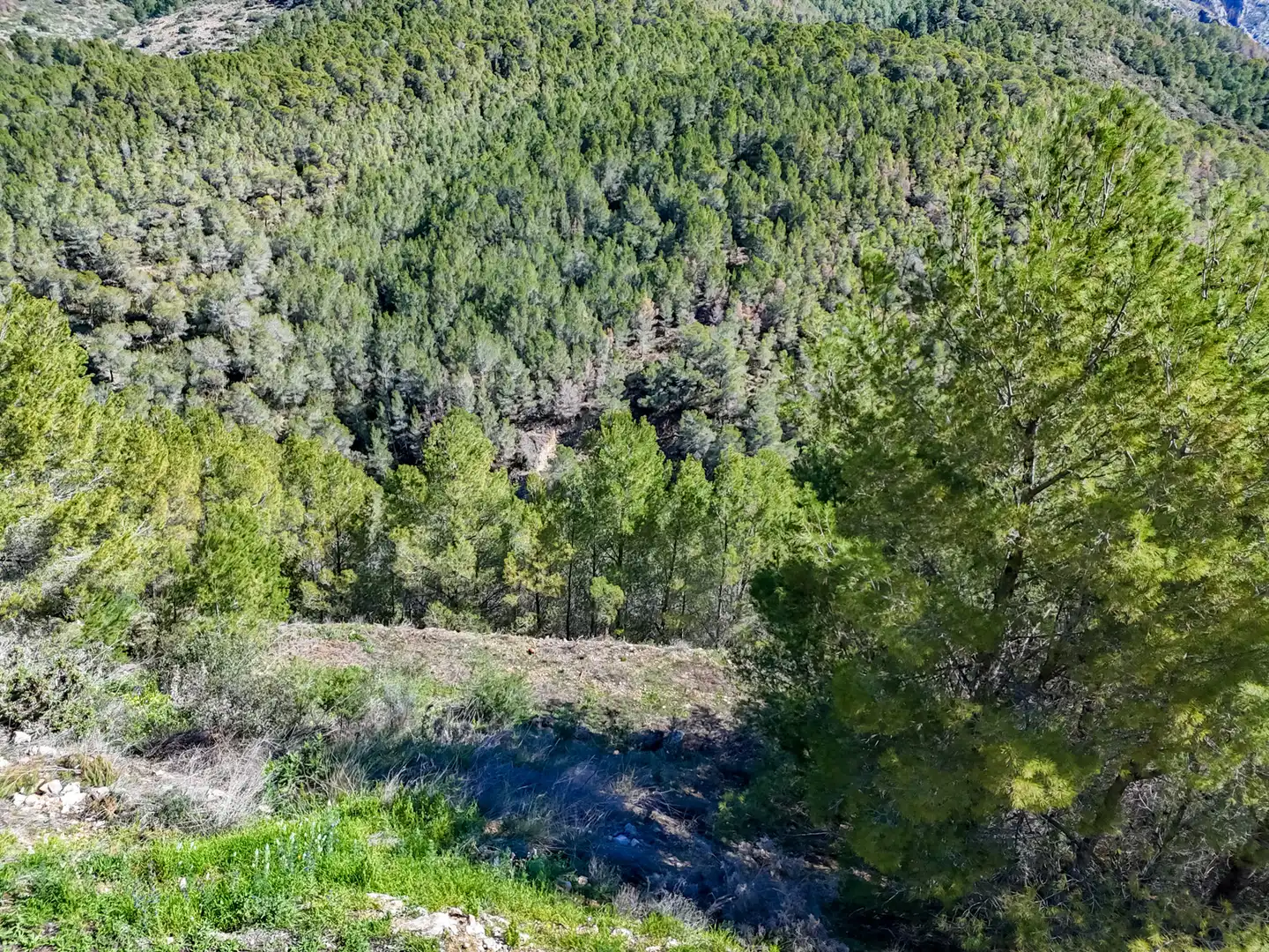 Terreny residencial en venda a Altea la Vella, imagen 46