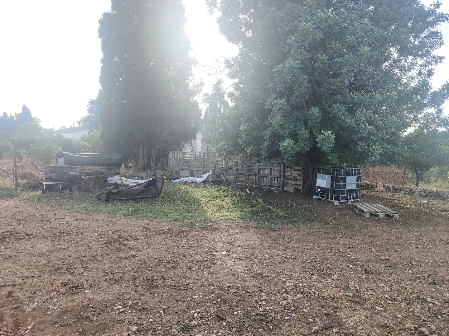 Terrain rustique à vendre à Camí Moscari 26, imagen 17
