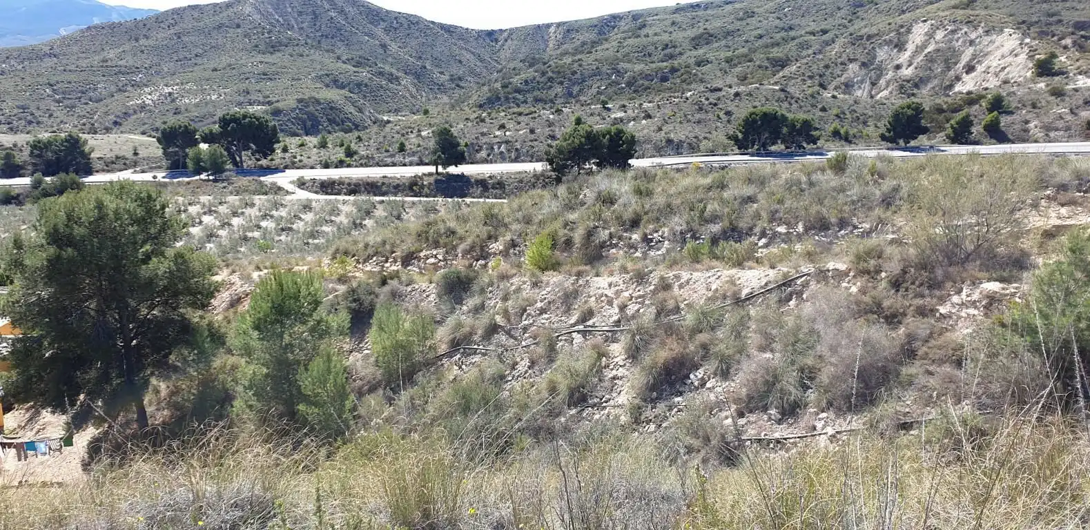 Terreno residencial en venta en Los Gallardos, imagen 3