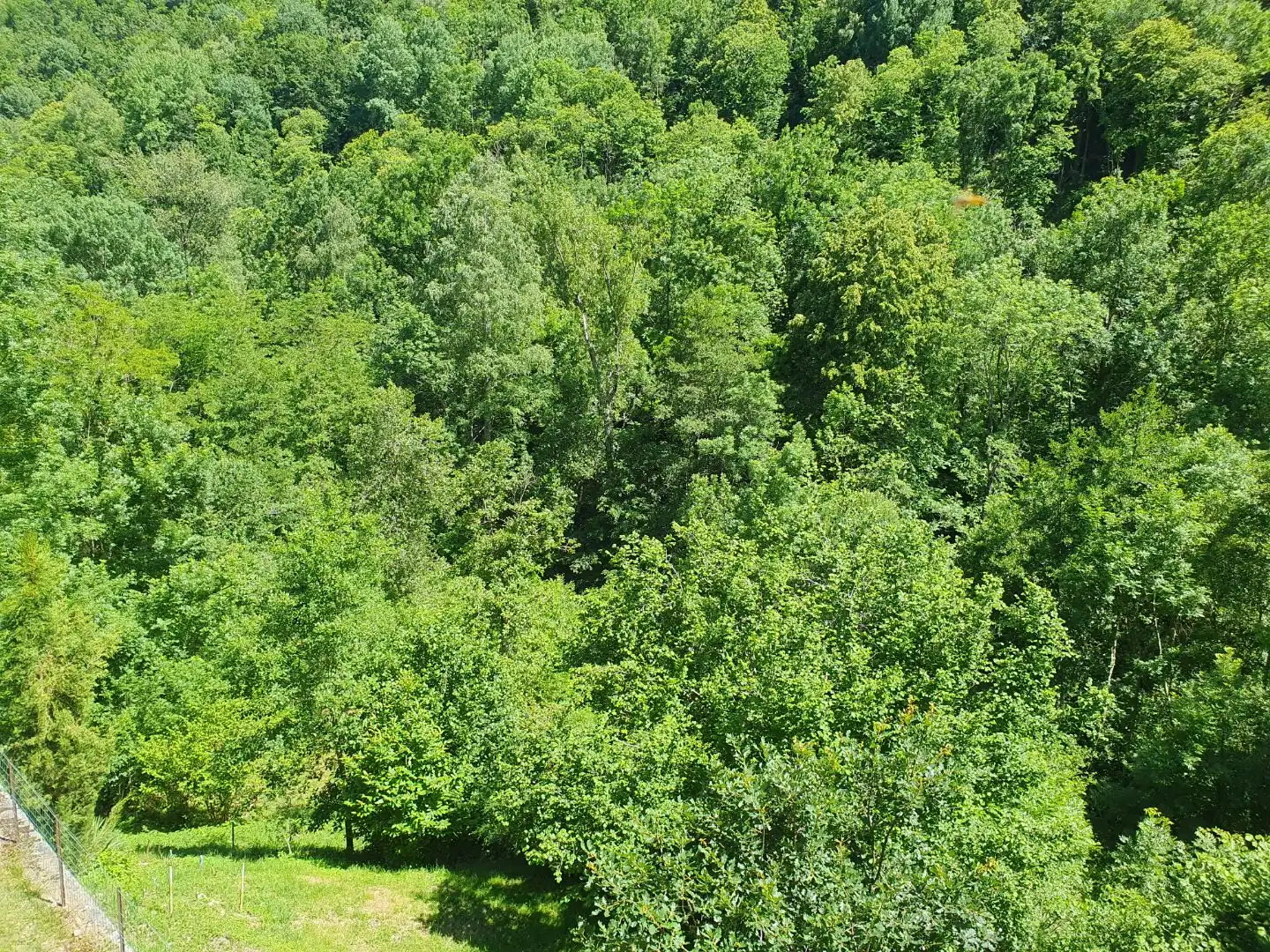 Landhaus mit Garten zum Verkauf in C-38 1, imagen 2