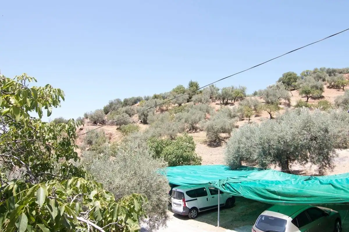 Jardín de Finca rústica en venta en Güéjar Sierra con Jardín privado, Terraza y Piscina